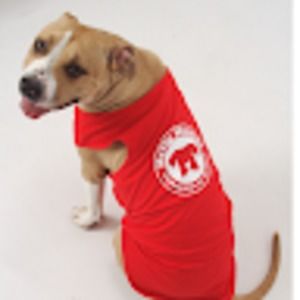 Meet your Posher, Yolonda